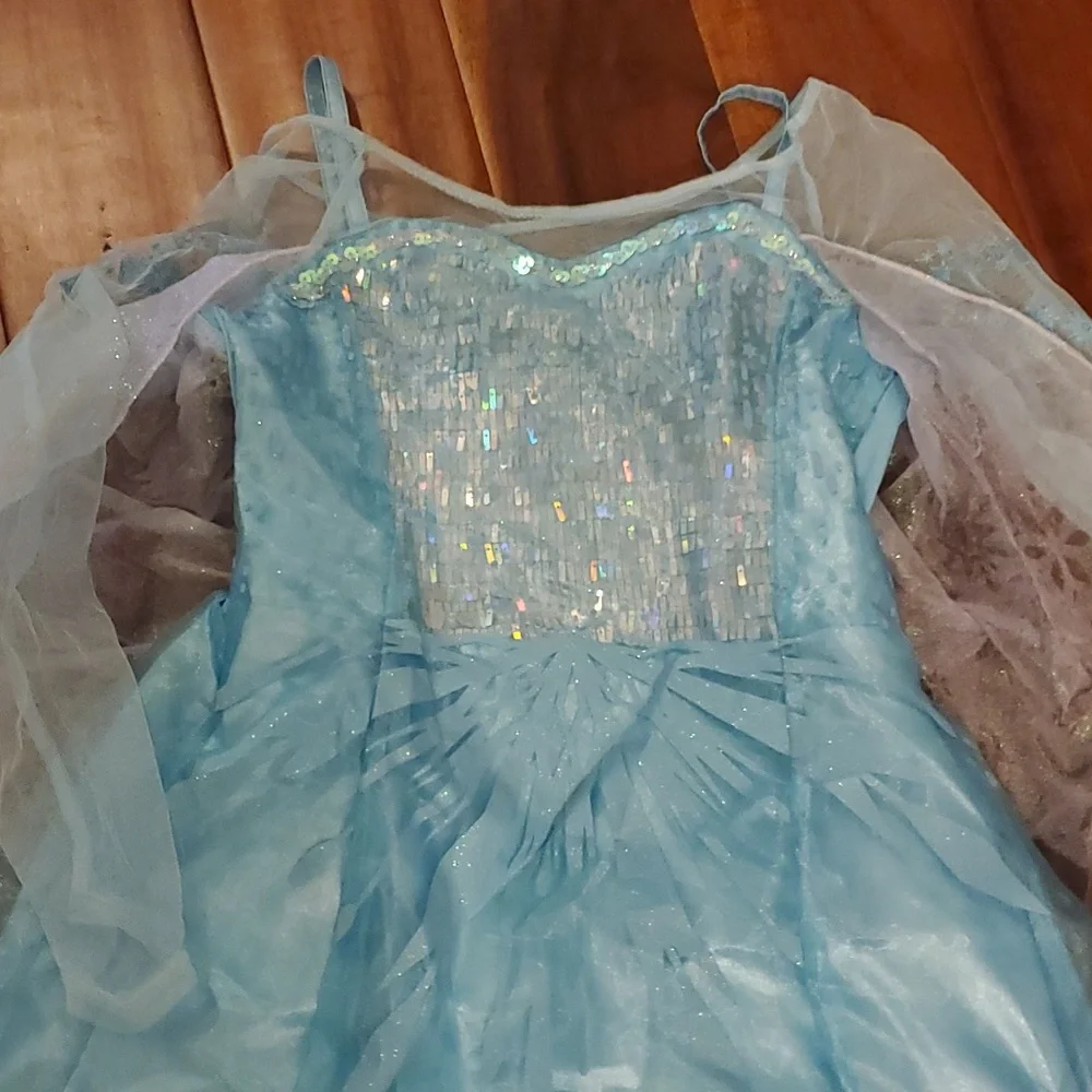 Elsa Princess dress - Picture 2 of 2